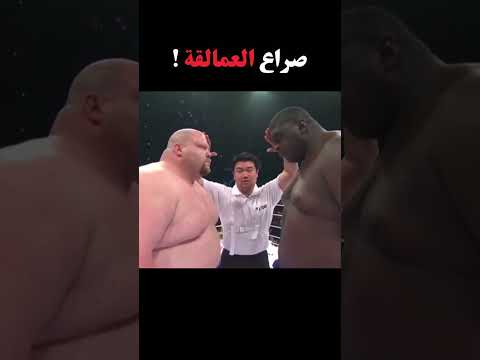 صراع العمالقة ! #boxing #ufc #mma