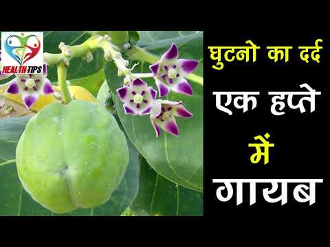 पुराने से पुराना कमर का दर्द, जोड़ों का दर्द, घुटनों का दर्द सब 1 हप्ते में गायब इस फल से
