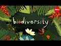 The Importance of Biodiversity in Ecosystems