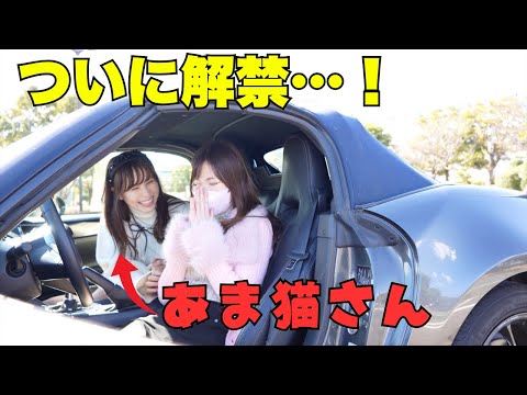 【ついに解禁】超人気YouTuberあま猫さんと実は◯◯の関係でした!マツダ ロードスター