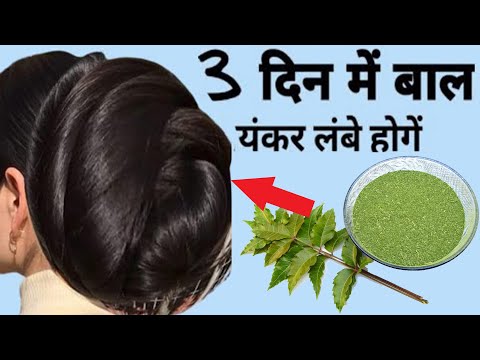 दही में बस ये मिलाकर लगाया 3 दिनों में बाल इतने लंबे और घने हो गए ,Natural Hair Care Remedy