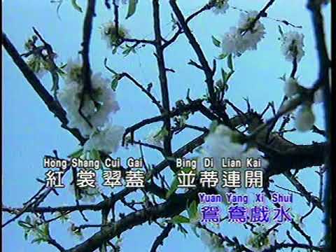 月圓花好 （龍聖 LD版）