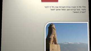 רחוב תל חי - אביגור