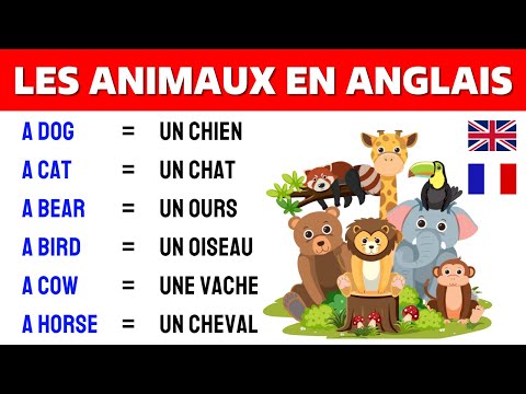 Lesson 1 ✪ Les animeaux en Anglais 📚 Animals in English ✔