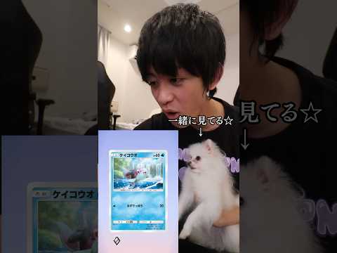 ポケポケ限度額まで課金してクラウンレア狙った結果がヤバすぎた #ポケポケ #ポケモン #ポケカ #幻のいる島