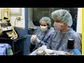 Lake's Eye Surgery Journey