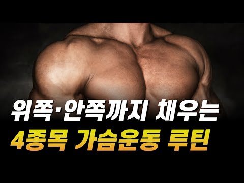 가슴 근육을 골고루 넓게 꽉 채워주는 과학적인 운동 루틴