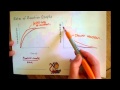 Analyzing Reaction Graphs Concepts