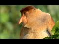 Exploring Nature's Quirkiest Creatures