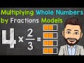 Multiplying Whole Numbers by Fractions with Models