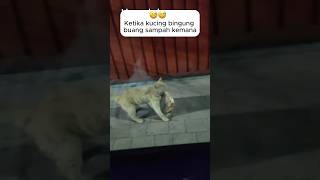Bingung buang sampah?!