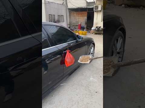 मम्मी और पापा ने न्यू कार गंदा कर दिया 😲🚘 #shorts #car #shortsfeed #shortsviral
