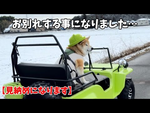 【報告】これが最後の見納めになりそうです…