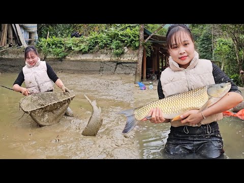 Harvest fish with mom to sell and make delicious grilled fish.