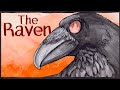 Exploring the Themes and Imagery of The Raven