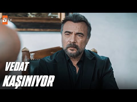 Vedat, Cezayir'in sabrını zorluyor! - Ben Bu Cihana Sığmazam