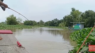 Những khoảnh khắc run tay khi đi câu cá - Tổng hợp lên cá bự