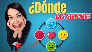 🧠 + 💔 + 😠¿Tristeza en el pecho? ¿Enojo en el estómago? ¿Donde se sienten las emociones?