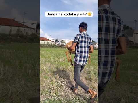 Thief son part-1 😂😂 #trending #trendingshorts #funnyvideo #viralvideo #shorts #shortvideo 😅🤣