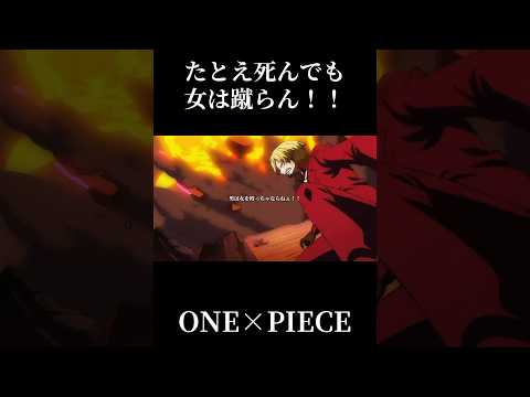 "たとえ死んでも女は蹴らん!!"#ワンピース #onepiece #ルフィ #サンジ
