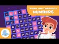 Understanding Prime and Composite Numbers