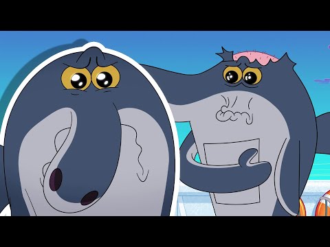 Zig & Sharko 💔 BROKEN DREAM - Compilation in HD