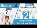 Penguin Adaptations and Climate