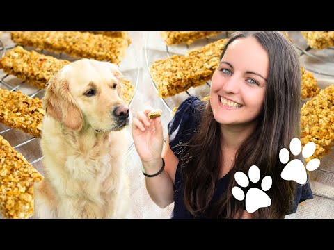 Recette Friandises pour chiens !