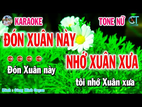 Karaoke Đón Xuân Này Nhớ Xuân Xưa Tone Nữ | Nhạc Sống 2025