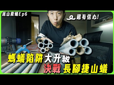 【拯山救蟻Ep6】目標：長腳捷山蟻！｜螞蟻陷阱大提升｜水管、竹子大測試【臺灣蟻窟】