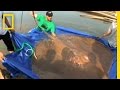Giant Stingray and Mega Fishes Project
