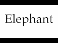 Característiques i comportament dels elefants