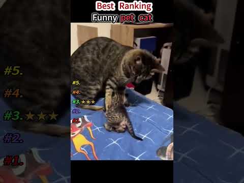 The ending is hilarious!