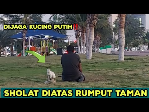 MASHAALLAH !! PRIA INI SHOLAT BERALASKAN RUMPUT DITAMAN