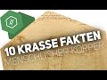 10-krasse-fakten-ueber-den-menschlichen-koerper/