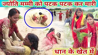 #_ज्योति_मम्मी को पटक पटक कर मारी / धान के खेत में #fannycomedy #video #jyoti #mahadev #famlyvlogs