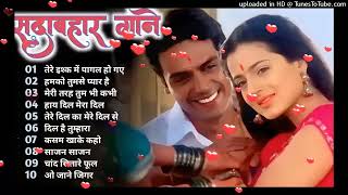 Hindi Gana🌹Sadabahar Song 💖हिंदी गाने 💔Purane Gane Mp3 💕Filmi Gaane अल्का याग्निक कुमार सानू गीत