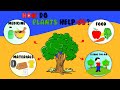 Exploring the Essential Uses of Plants for Kids