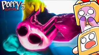 ALL POPPY PLAYTIME CHAPTER 5 LEAKED CHARACTERS?! (LANKYBOX REACTION)