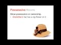 Exploring Singular, Plural, and Possessive Nouns