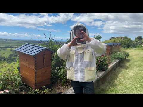 First beekeeping live of 2025!