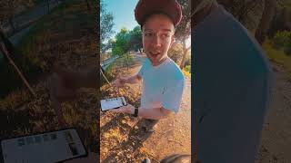 buscando pájaros con graf
