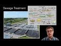 Exploring the Impact of Water Pollution