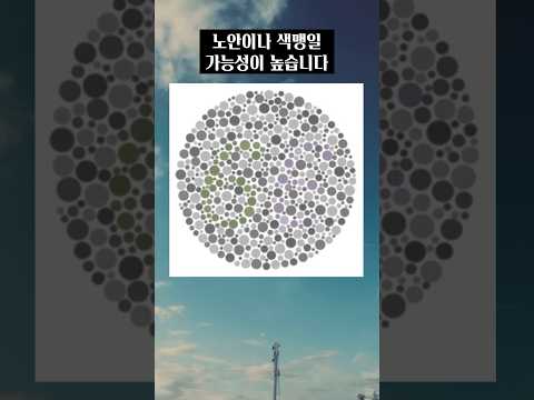 이 그림이 보이시나요?🤔 #시력테스트
