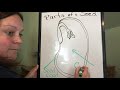 Seed Structure and Function Concepts
