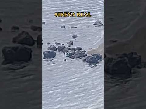 SIRENA REAL CAPTADA!!EL ACANTILADO DE LAS Sirenas #sirenas #sirena #miedo