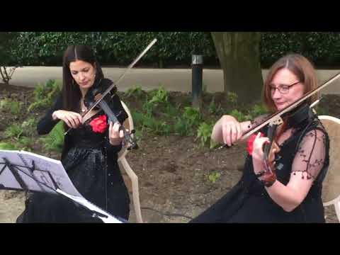 Electric String Quartet
