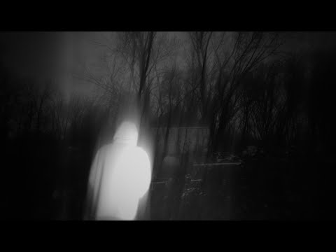Joey Oz | Signs