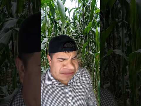 Se puso medio raro YouTube 😂😂😂 #short #shorts #elmexitachi