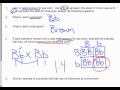 Genetics: Incomplete Dominance and Co-Dominance
